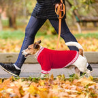 Dog Sweaters for Large Dogs, Brushed Fleece Dog Sweater Baseball Jacket Large Pet Sweater Clothes Soft Warm Boy Girl Pet(Red-L)