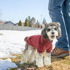 SCENEREAL Dog Hoodie Sweaters for Small Medium Large Size Dogs, Fleece Dog Sweatshirt with Hat and Pocket,Soft Cold Winter All Weather Dog Clothes for S to XL Sized Dogs, Burgundy S