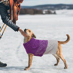 ASENKU Warm Dog Sweater for Small Medium Dogs,Pet Sweaters for Fall Winter Dog Clothing,Thicked Pullover Puppy Cat Turtleneck Sweater for Doggie Chihuahua Clothing