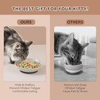Ceramic Cat Food Bowl Set - 5.75 inch Colorful Cute Cat Dishes with Non Slip Pads - Wide Shallow Whisker Friendly - Microwave and Dishwasher Safe - 6 Pack - 8.5 oz