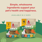 PLATO Pet Treats Jerky Dog Treats - Air-Dried Jerky for Dogs - Delicious, Real Meat Dog Treats - Grain Free - Supports Healthy Digestion - Chicken Jerky with Pumpkin 16oz