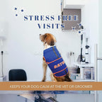 NCAA Florida Gators Dog Anxiety Shirt Calming Soothing Vest, for Dogs & Cats with Anxiety, Fears, Fireworks, Loud Noises, Dark, Lonely Keeps Dogs Calm & Feeling Safe, Relaxing Jacket, Small