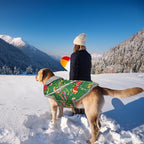 VIVAGLORY Snowrap Dog Coat, Jacket with Harness Hole & Velcro Closure, Dog Coat for Winter & Cold Weather, Fluffy Warm Fleece Lined Reflective Water Resistant for Puppy, M, Northeast Florals-Green