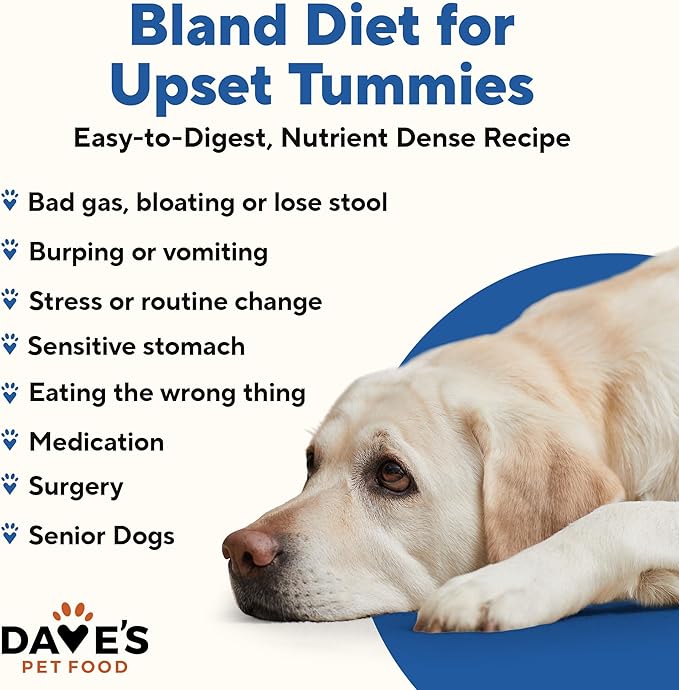 Dave's Pet Food Sensitive Stomach Dog Food (Chicken & Rice), Easy to Digest, Gluten-Free, Digestive Care, Wet Canned, 5.5 oz (Case of 24)
