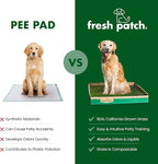 Fresh Patch Real Grass Patch for Dogs, Cats, and Small-Medium Pets Under 15 Pounds – Disposable Pet Grass Pee Pads – Indoor and Outdoor Potty Training Mat (16 Inches x 24 Inches)