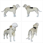 LOVELONGLONG Waterproof Dog Raincoat with Removable Hood – Outdoor Full Body Dog Jacket, Windproof Snowproof Shell Suit – All Season Pet Rain Gear Ivory XL