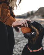 Giggle Ball for Dogs Owl Toys for Aggressive Chewers Dog Ball Toy for Puppy Medium Large Dogs Fun Gift for Dog Natural Rubber Cute Hoot Brown