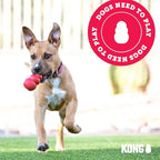 KONG - Puppy Toy Natural Teething Rubber - Fun to Chew, Chase and Fetch - for Medium Puppies - Pink