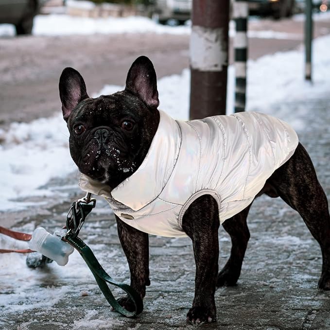 ASENKU Dog Winter Coat - Waterproof Windproof Dog Jacket, Warm Snowproof Doggie Puffer Vest for Cold Weather, Lightweight Snow Coats for Small Medium Large Dogs (Silver, XL)