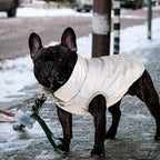 ASENKU Dog Winter Coat - Waterproof Windproof Dog Jacket, Warm Snowproof Doggie Puffer Vest for Cold Weather, Lightweight Snow Coats for Small Medium Large Dogs (Silver, XL)