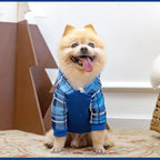 Plaid Dog Hoodie Pet Clothes Sweaters with Hat Medium (Pack of 1)