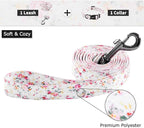 Ihoming Puppy Collar and Leash Set for Daily Outdoor Walking Running Training, Floral Sky Design for Extra Small Boys Girls Dogs Cats Pets, XS-Up to 10LBS