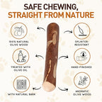 Wildfang® Olive Wood Chewing Sticks for Dogs, Small - Tough Chew Toys for Aggressive Chewers, Puppy Chew Toys for Teething, Training for Chewing Muscles, Olive Wood Stick for Dog (Under 33lbs), 3pack