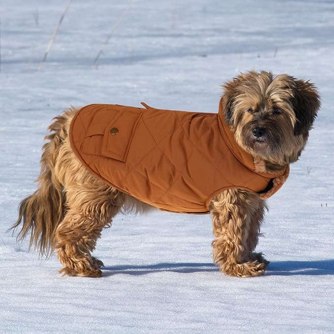 Queenmore Warm Dog Coat, Cold Weather Puffer Dog Jacket with Ultra Thick Plush Lining and Storage Pockets (Brown, Medium)