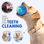 Moving Dog Ball, 2026 New 2Pcs Automatic Vibrating Dog Ball Toy, Smart Bouncing Shaky Balls Toy for Dogs, Interactive Jumping Dogs Balls That Moves on Its Own for Small Dogs (Mix)