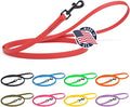 Dogline Biothane Waterproof Dog Leash Strong Coated Nylon Webbing with Black Hardware Odor-Proof Easy to Clean High Performance for Small or Large Dogs Made in USA 4 or 6 ft Lead, Cherry Red