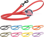 Dogline Biothane Waterproof Dog Leash Strong Coated Nylon Webbing with Black Hardware Odor-Proof Easy to Clean High Performance for Small or Large Dogs Made in USA 4 or 6 ft Lead, Cherry Red