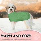 Dog Sweaters for Small Medium Large Dogs Girl, Soft Warm Turtleneck Pup Dogs Shirt, Double Knitting Collar for Outdoor Playing, Warm Dog Clothes (XS,Green)