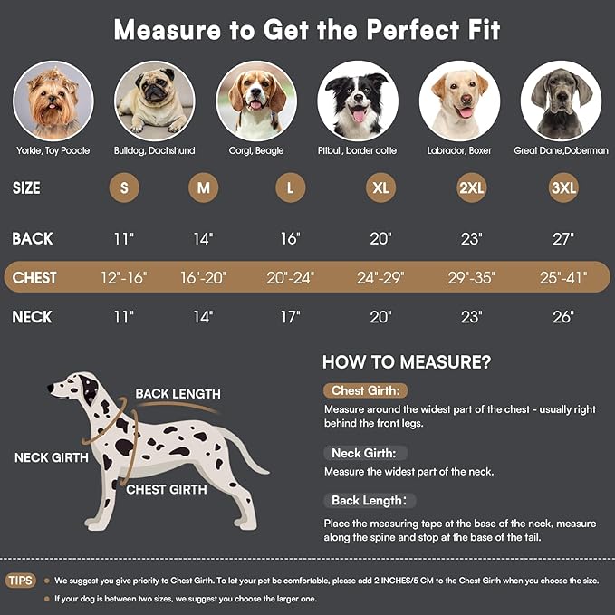 Queenmore Winter Dog Coat Warm Dog Jacket Vest Waterproof Puffer Fleece Snowsuit Adjustable Buckle Leash Hole Reflective Cold Weather Parka for Small Medium Large Dogs Girl Boy Black L