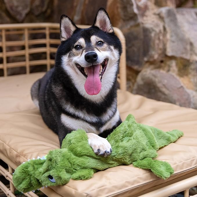 Best Pet Supplies Squeaky Dog Toys with Soft Durable Fabric for Small, Medium and Large Pets Interactive Toy for Indoor Play, Supports Active Biting and Play - Alligator, Small