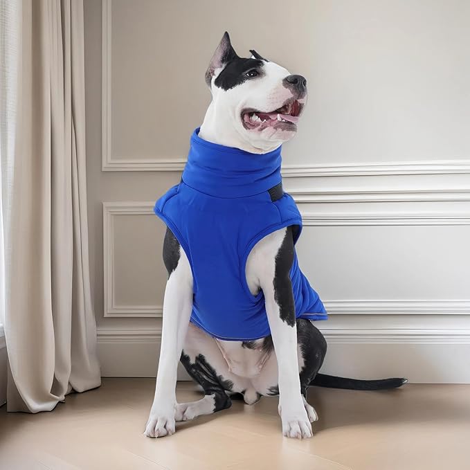 Kuoser Winter Dog Coat for Medium Dogs, Cold Weather Jacket & Vest for French Bulldog, Boston Terrier, Blue M