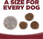 NutriSource Dog Food, Made with Beef and Brown Rice, Wholesome Grains, 5LB, Dry Dog Food