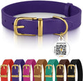 BRONZEDOG Leather Dog Collar with Metal Buckle Durable Basic Pet Collars for Small Medium Large Dogs (13-16 Inch (Pack of 1), Purple & Gold Buckle)
