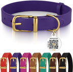 BRONZEDOG Leather Dog Collar with Metal Buckle Durable Basic Pet Collars for Small Medium Large Dogs (13-16 Inch (Pack of 1), Purple & Gold Buckle)