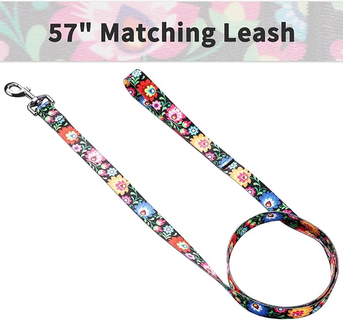 Ihoming Dog Collar and Leash Set for Daily Outdoor Walking Running Training, Black Colorful Flowers Design for Large Boys Girls Dogs Cats Pets, L-Up to 80LBS