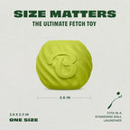 Benebone Dog Ball, Natural Rubber