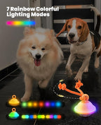 Smart Interactive Dog Toys, Automatic Moving and Rolling Dogs Ball with Rope, Motion-Activated Wicked Ball for Small Medium Dogs for Boredom, RGB Lights, Stimulating Sound, Voice Recording