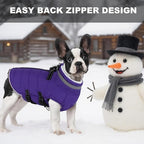 Small Dog Coat with Harness Built-in, Waterproof Reflective Fleece Lined - Warm Windproof Winter Jacket with Back Zipper, Cold Weather Snow Dog Coats - Purple - XS