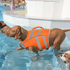 Kuoser Dog Life Jacket with Reflective Stripes - Adjustable High Visibility Vest, Ripstop Lifesaver, Pet Preserver with High Flotation Swimsuit for Small, Medium and Large Dogs