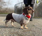 Gooby Fleece Vest Dog Sweater - Gray/Yellow, X-Large - Warm Pullover Fleece Dog Jacket with O-Ring Leash for Small to Medium Dogs