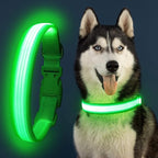 YFbrite Light up Dog Collar, USB Rechargeable LED Puppy Collar Super Bright Adjustable Glowing Dog Lights for Night Walking (Design 2-Green, Medium)