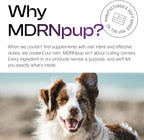 MDRNpup® Unique Dog Treats, Human Grade and All-Natural, Only Four Ingredients, High Protein - Amino Acids, Nothing Artificial, Soft Baked in The USA (13.2 Ounce, Chickpea & Pumpkin)