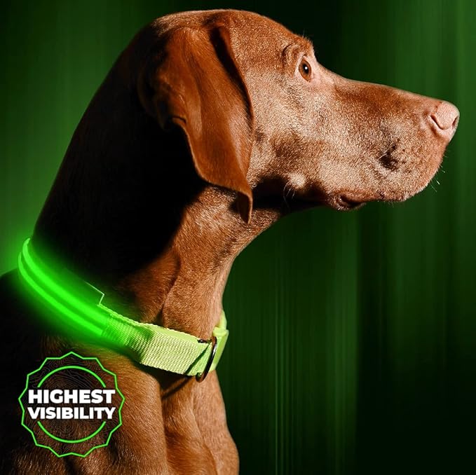 ILLUMISEEN LED Dog Collar USB Rechargeable - Bright & High Visibility Lighted Glow Collar for Pet Night Walking - Weatherproof, in 6 Colors & 6 Sizes (Green Small)