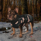 IECOii Extra Warm Reflective Adjustable Dog Jacket with Buckle Fleece Turtleneck for Cold Weather Soft Winter Coat for Small Medium Extra Large Dogs