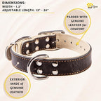 ADITYNA Heavy-Duty Leather Dog Collar for Medium Dogs - Soft Padded for Comfort - Black Dog Collar for Walking, Training, and Hiking