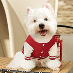 Small Dog Sweater Sweatshirt Cute Puppy Sweaters - Winter Red Warm Knitted Bear Design for Puppies (S)