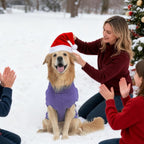 Mihachi Turtleneck Dog Sweater - Winter Coat Apparel Classic Cable Knit Clothes with Leash Hole for Cold Weather, Ideal Gift for Pet in New Year Light Purple SM