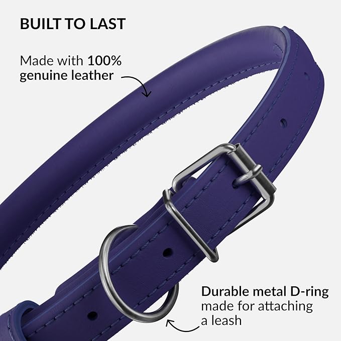 CollarDirect Rolled Leather Dog Collar, Soft Padded Round Puppy Collar, Handmade Genuine Leather Collar Dog Small Large Cat Collars 13 Colors (15-19 Inch, Purple Smooth)