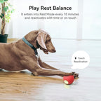 Cheerble [Enhanced Rubber Version Smart Interactive Dog Toy, Wicked Ball PE, Automatic Moving Bouncing Rotating Ball for Medium Dogs Boredom with LED Lights