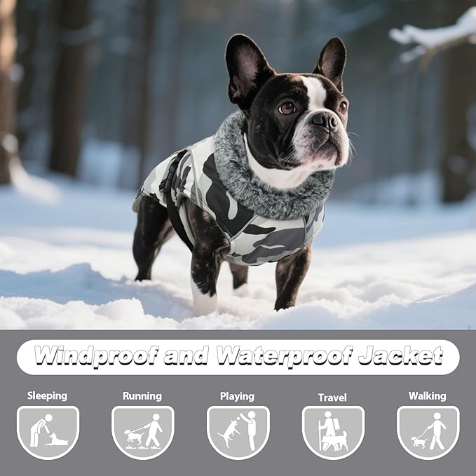 DENTRUN Dog Winter Coat - Windproof Reflective Jacket, Plush Turtleneck & Adjustable Belt, Water Repellent Fleece Lined Cold Weather Vest for Corgi Bulldog, White Camo, L