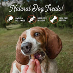 Beg & Barker Pork Jerky for Dogs (4 oz, Pack of 1) - Dog Training Treats - Natural Dog Treats Made in The USA - Grain Free, Diabetic-Friendly, High Protein, Sugar-Free (Pork Dog Jerky)