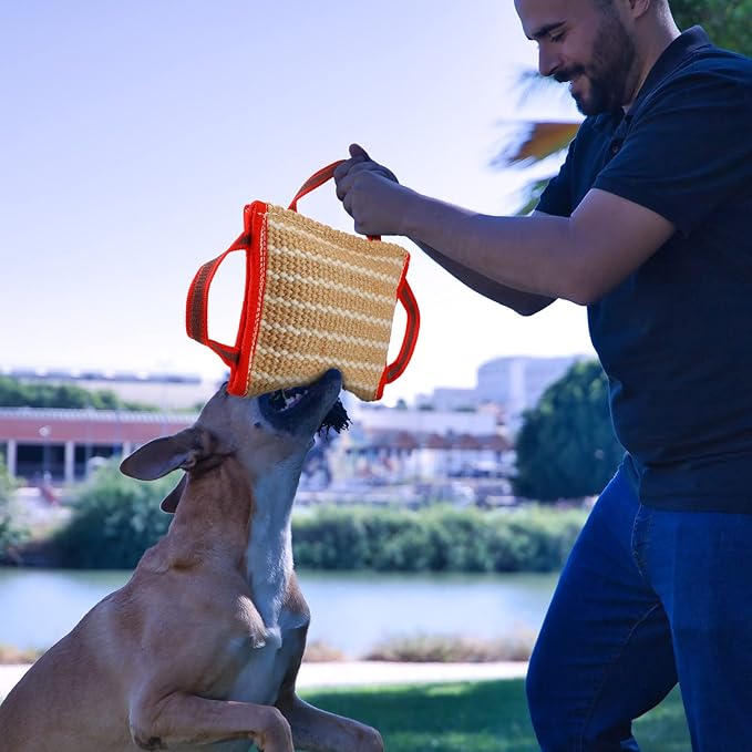 Libima 2 Pcs Dog Pillow Tug Toy Dog Pillow with Strong Handles Tug of War Training Tools Toy Linen Pad for Puppy Young Small Medium Pets Interactive Play Training