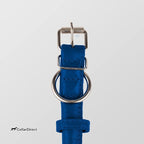 CollarDirect Rolled Leather Dog Collar, Soft Padded Round Puppy Collar, Handmade Genuine Leather Collar Dog Small Large Cat Collars 13 Colors (15-19 Inch, Deep Blue Textured)