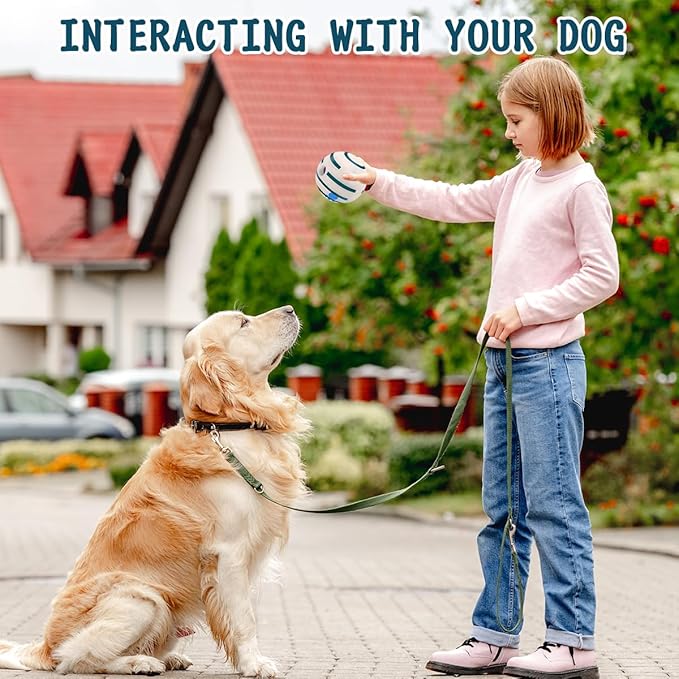 HYQ Glowing Interactive Dog Toy Ball - Squeaky for Small, Medium, Large Dogs and Puppies - Keeps Them Busy (Glow Ball, 2.75 Inch)