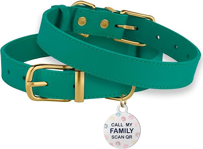 BRONZEDOG Leather Dog Collar with Metal Buckle Durable Basic Pet Collars for Small Medium Large Dogs (14-17 Inch (Pack of 1), Green & Gold Buckle)