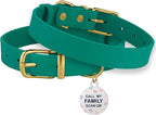 BRONZEDOG Leather Dog Collar with QR ID Tag Basic Pet Collars for Small Mini Dogs Cats Puppies (7-9 Inch (Pack of 1), Green & Gold Buckle)